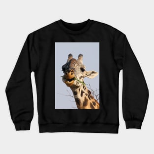 Maasai or Masai, Giraffe, Serengeti, Tanzania Crewneck Sweatshirt